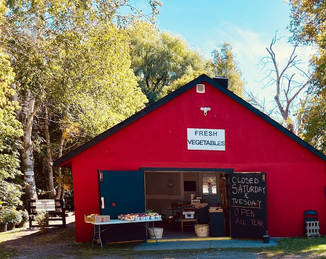 Organic Garlic Farm Store 