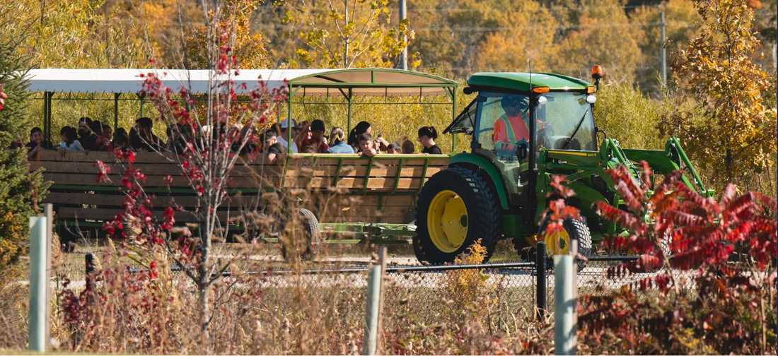 October 17 - Pumpkin Fest 2026 Bradford West Gwillimbury