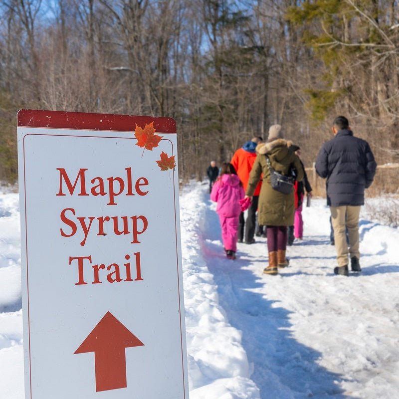 March 12, 13, 14 - Sugarbush Maple Syrup Festival, Bruce's Mill Conservation Park